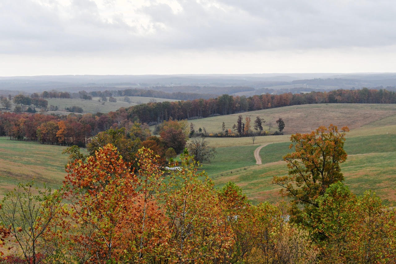 ozarks background simpson elder and estate law